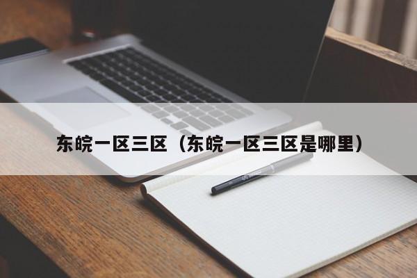 东皖一区三区（东皖一区三区是哪里）