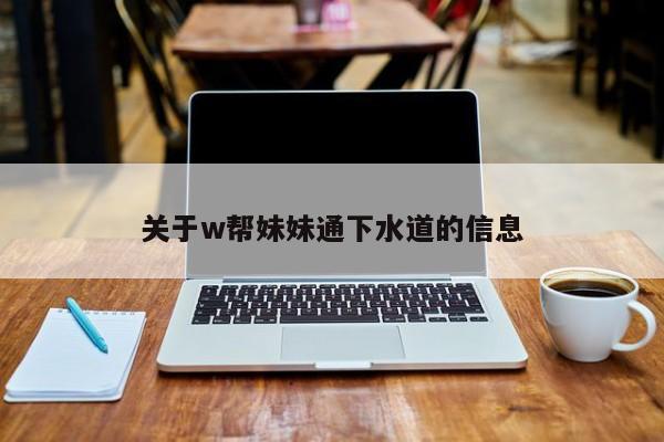 关于w帮妹妹通下水道的信息