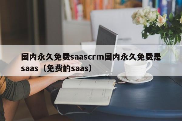国内永久免费saascrm国内永久免费是saas（免费的saas）