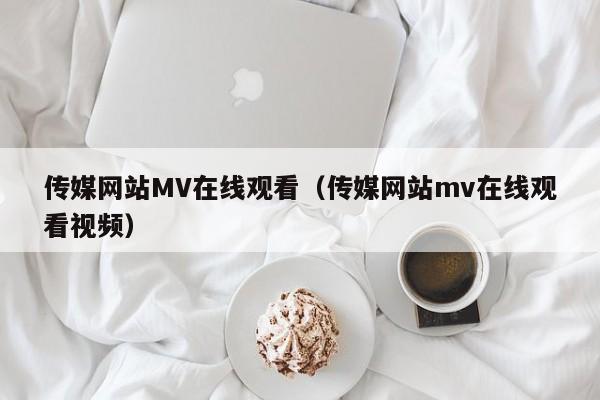 传媒网站MV在线观看（传媒网站mv在线观看视频）