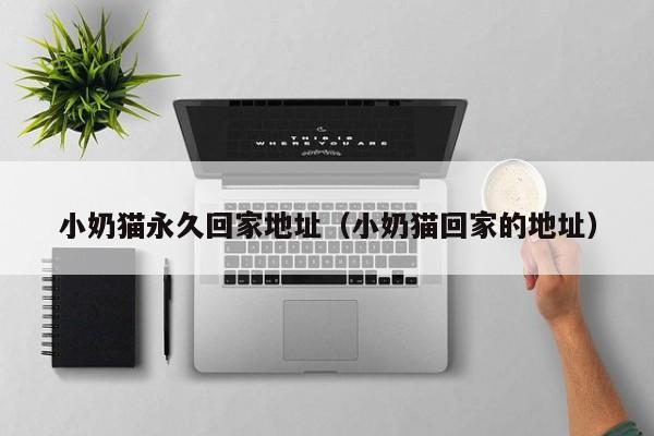 小奶猫永久回家地址（小奶猫回家的地址）