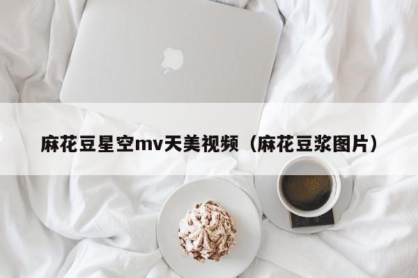 麻花豆星空mv天美视频（麻花豆浆图片）