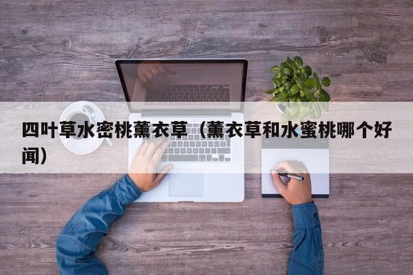 四叶草水密桃薰衣草（薰衣草和水蜜桃哪个好闻）